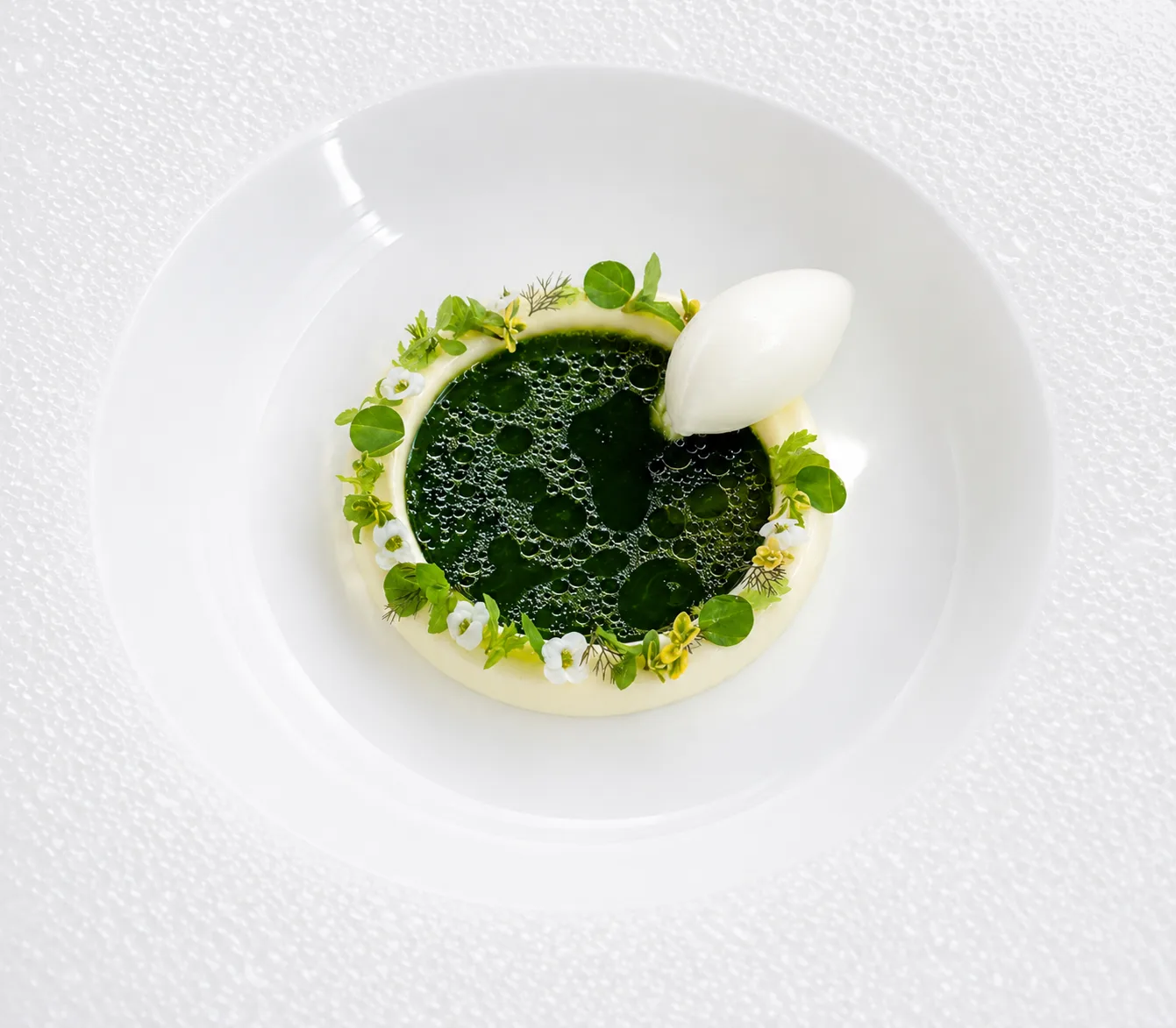 Nordic Halo Jordnær Edition with green consommé, edible flowers and quenelle on a white fine dining plate