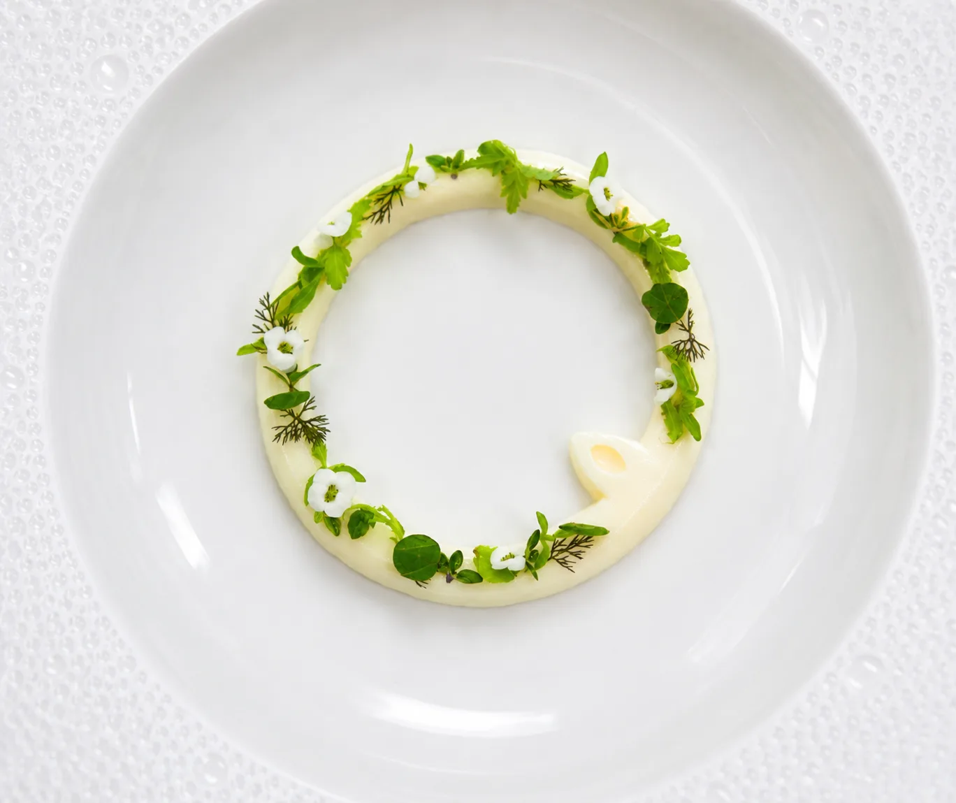 Nordic Halo Jordnær Edition herb cream ring garnish with edible flowers and fresh herbs on a white fine dining plate