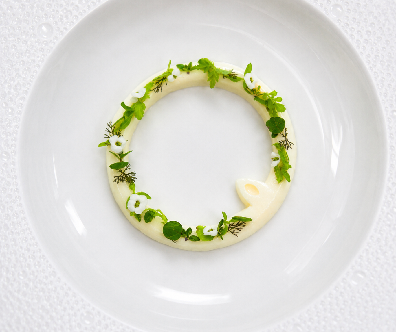 Nordic Halo Jordnær Edition herb cream ring garnish with edible flowers and fresh herbs on a white fine dining plate