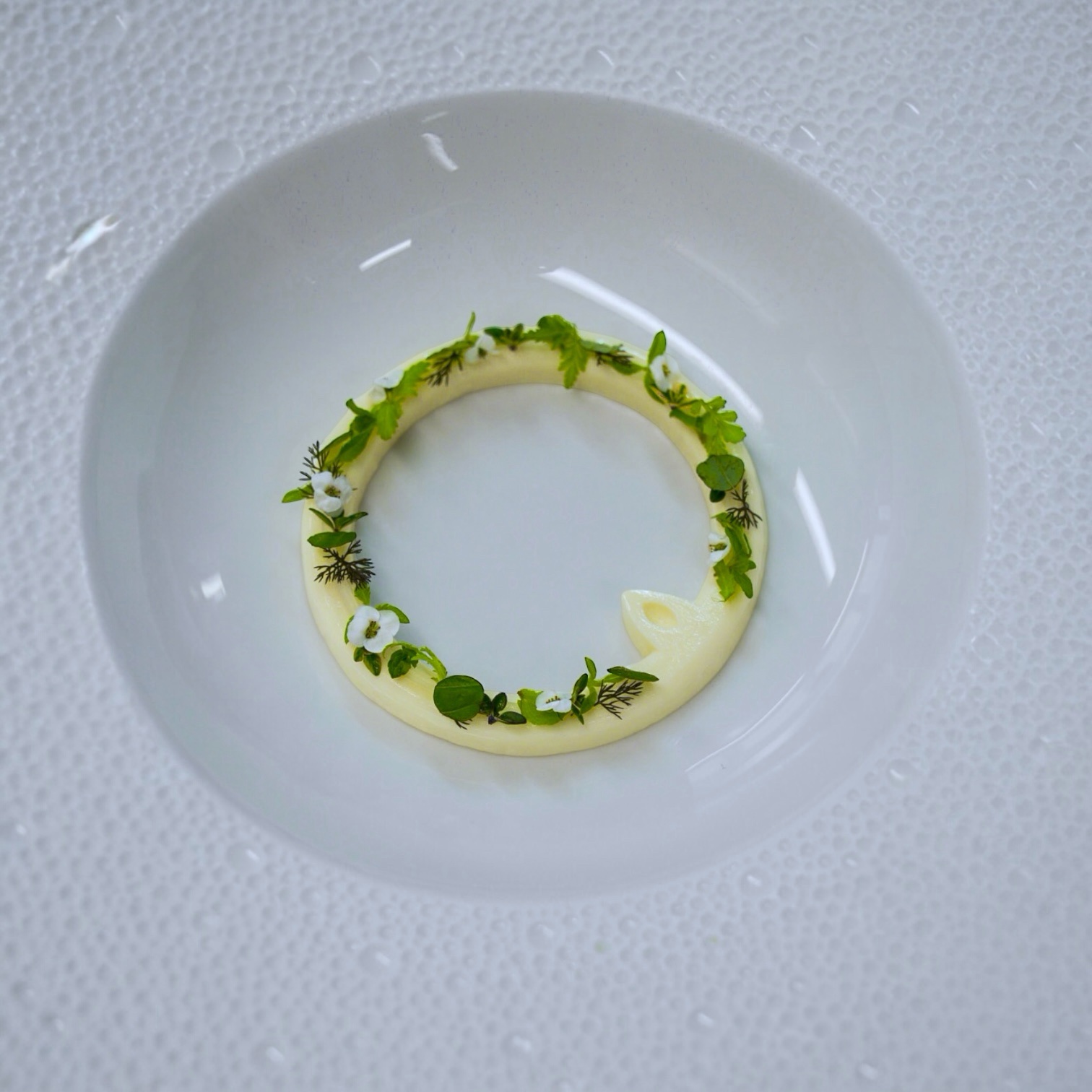 Nordic Halo - Jordnær Edition - Image 3