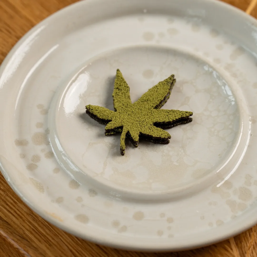 Finished hemp leaf shaped malt tuile plated at Restaurant MOTA